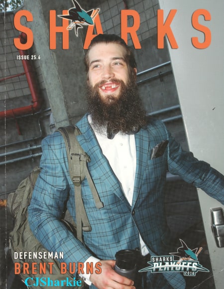 San Jose Sharks Program 25.6