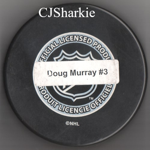 2006-2007 New Year's Eve Puck back view