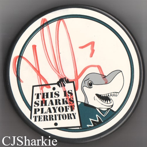 2007-2008 Playoff Puck