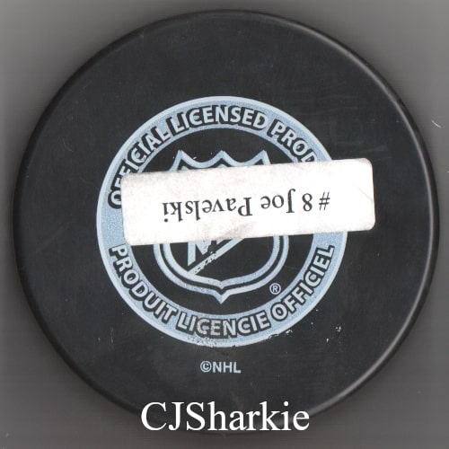2008-2009 Presidental Election Puck back view