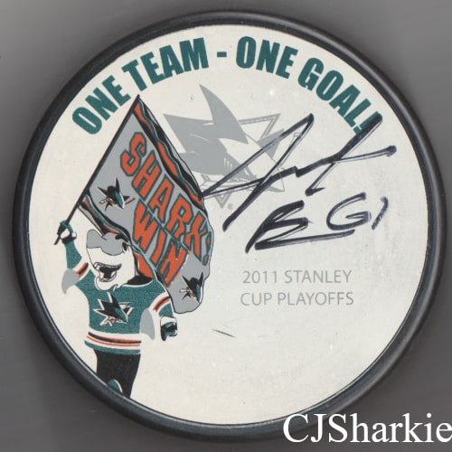 2010-2011 Playoff Puck
