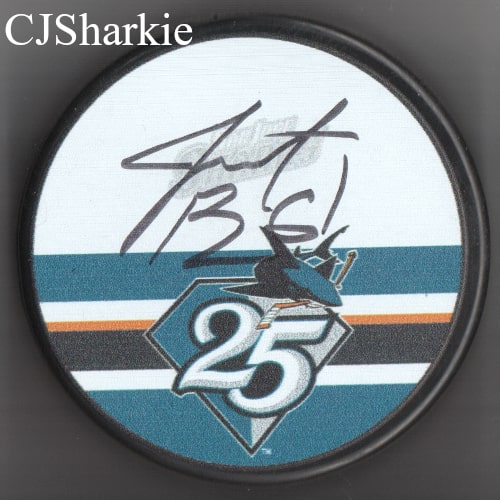 2015-2016 25th Anniversary Puck