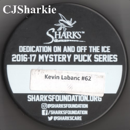 2016-2017 Military Puck back view
