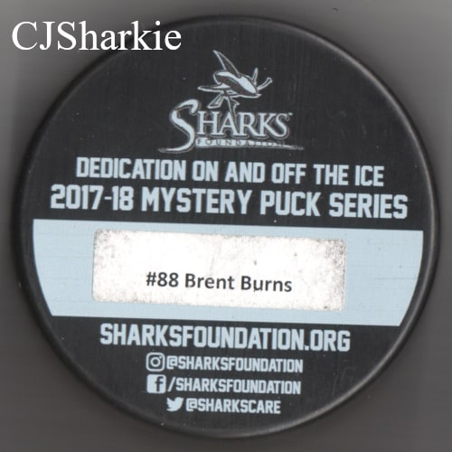 2017-2018 Earth Day Puck (Shark Logo) Puck back view
