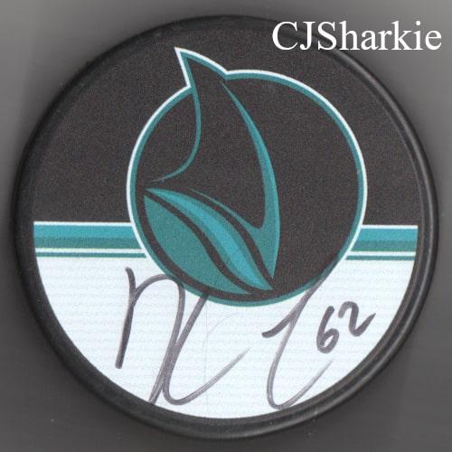 2018-2019 Stealth Fin Logo Puck