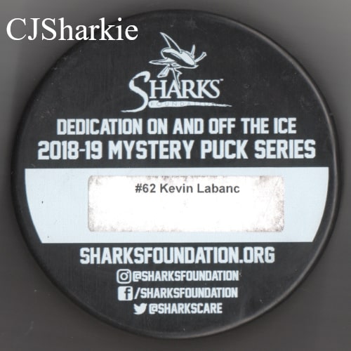 2018-2019 Stealth Fin Logo Puck back view