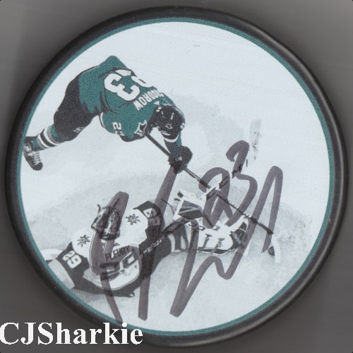 2018-2019 Playoff Puck