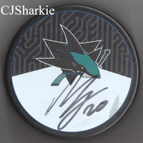 2018-2019 Stealth Logo Puck