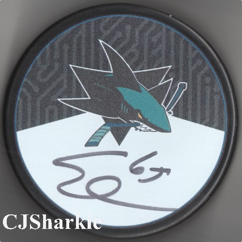 2018-2019 Stealth Logo Puck