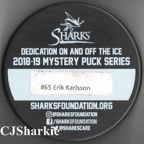 2018-2019 Stealth Logo Puck back view