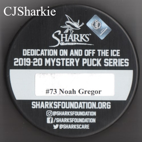 2019-2020 Graffiti Shark Puck back view