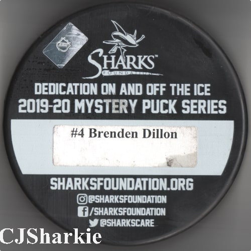 2019-2020 Nighty Knight Puck back view
