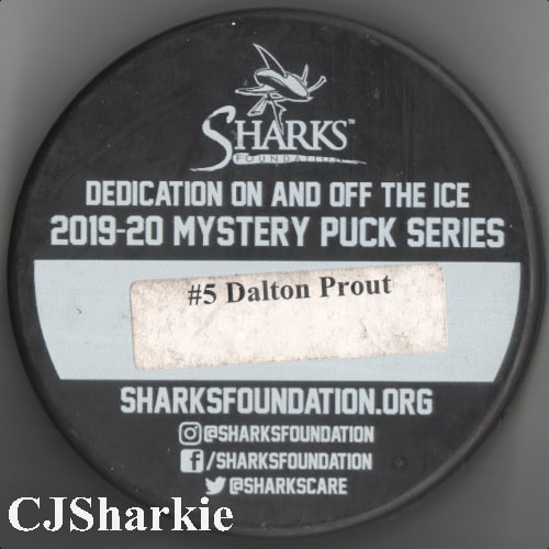 2019-2020 Nighty Knight Puck back view