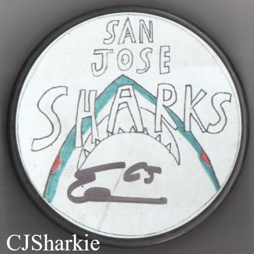 2020-2021 Hockey Fights Cancer Puck