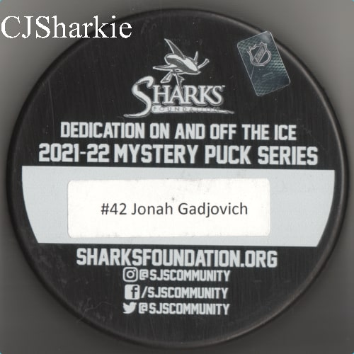 2021-2022 Pride Puck back view
