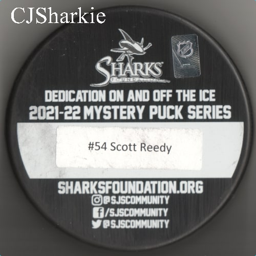 2021-2022 Pride Puck back view