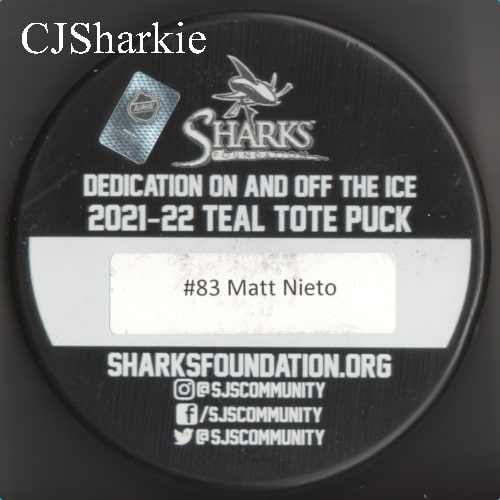 2021-2022 Teal Tote Puck back view