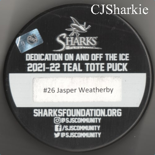 2021-2022 Teal Tote Puck back view