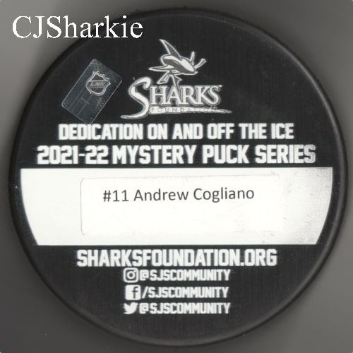 2021-2022 Women of Teal Puck back view