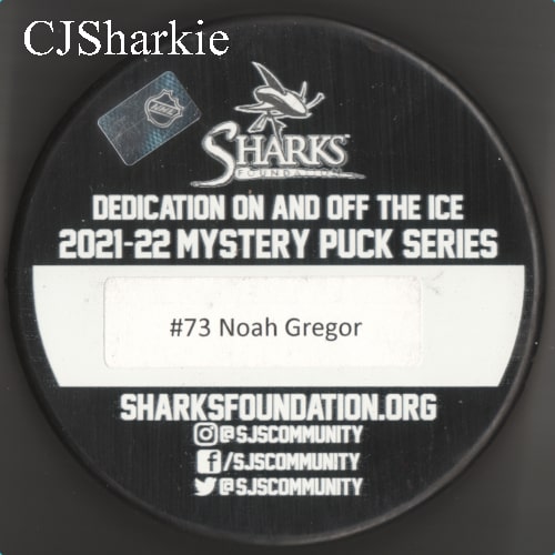 2021-2022 Women of Teal Puck back view