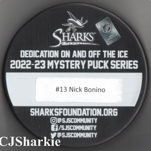 2022-2023 Sharks Jersey Inspired PuckFront back view