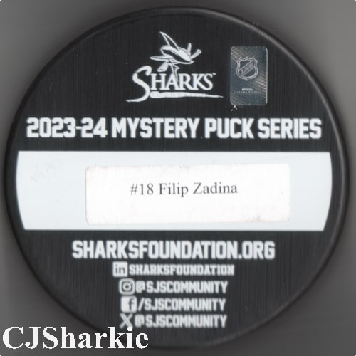 2023-2024 Celebration of South Asian Culture Puck back view