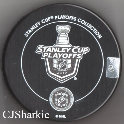 2017 1st Round Playoff vs the Edmonton Oilers back view