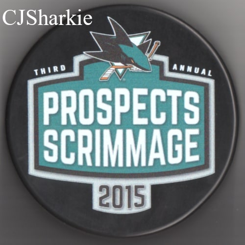 2015 Prospects Scrimmage Puck
