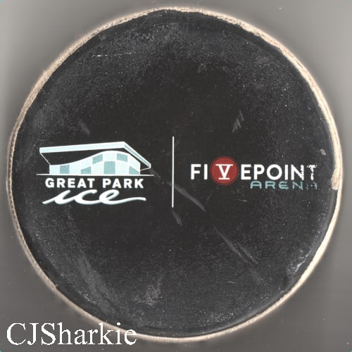 2019 Anaheim Rookie FaceOff Puck back view