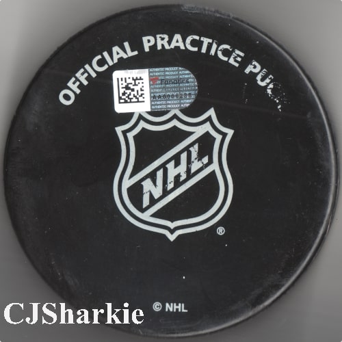2016-2017 Warm-up Puck back view