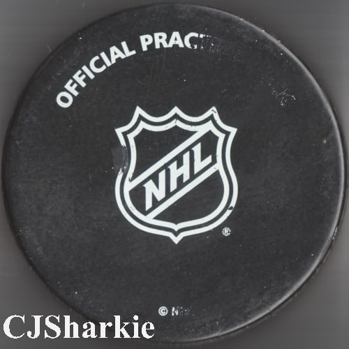 2015-2016 Warm-up Puck back view