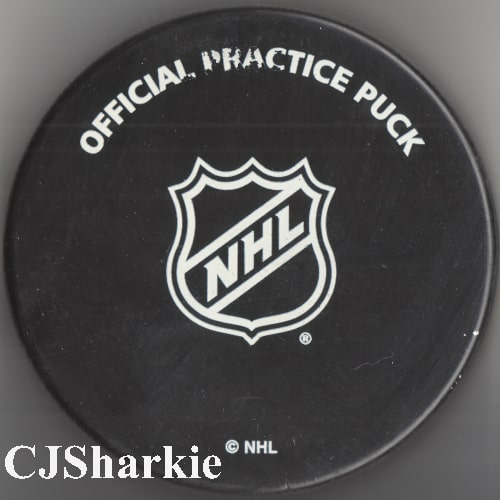 2016-2017 Warm-up Puck back view