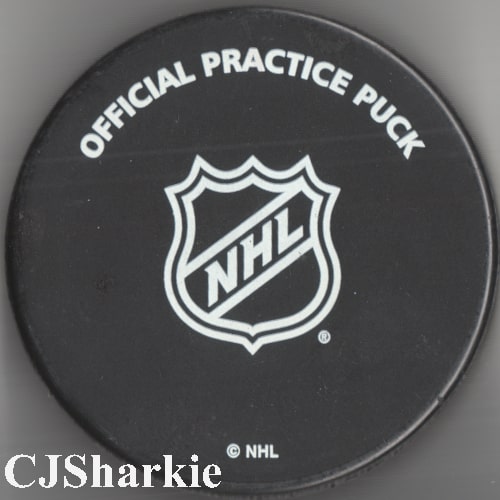 2015-2016 Warm-up Puck back view