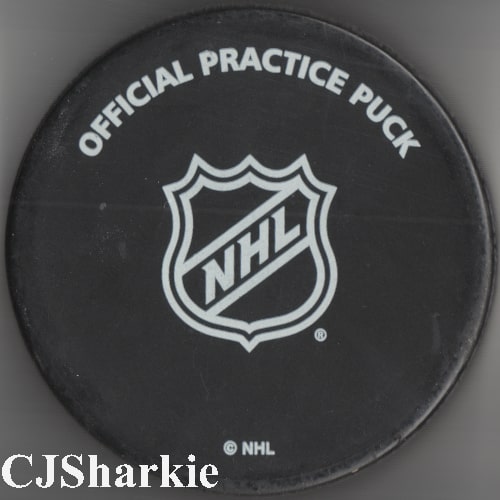 2015-2016 Warm-up Puck back view