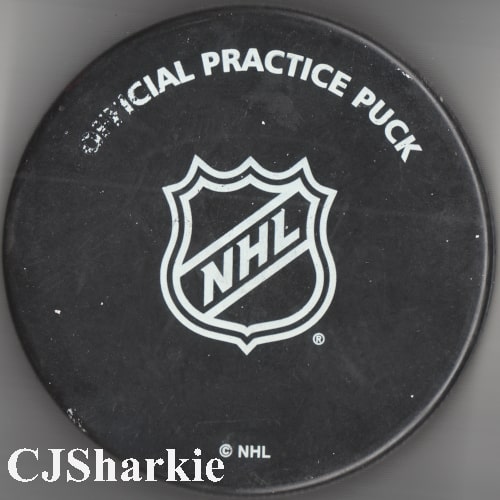 2015-2016 Warm-up Puck back view