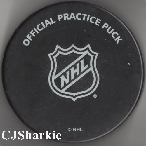 2016-2017 Warm-up Puck back view