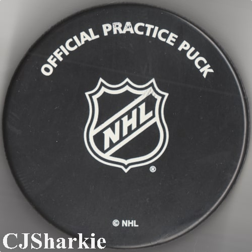 2016-2017 Warm-up Puck back view